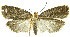  ( - INB0003536254)  @13 [ ] CreativeCommons - Attribution Non-Commercial Share-Alike (2012) National Biodiversity Institute of Costa Rica National Biodiversity Institute of Costa Rica