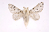  ( - INB0003536409)  @13 [ ] Copyright (2012) J. Montero Instituto Nacional de Biodiversidad
