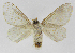  ( - INB0003536415)  @14 [ ] Copyright (2012) J. Montero Instituto Nacional de Biodiversidad