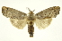  ( - INB0003536578)  @11 [ ] Copyright (2012) Juan Mata Lorenzen Unspecified