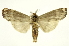  ( - INB0003536578)  @11 [ ] Copyright (2012) Juan Mata Lorenzen Unspecified