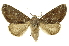  ( - INB0003536579)  @11 [ ] Copyright (2012) J. Montero INBio