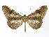  ( - INB0003536592)  @11 [ ] Copyright (2012) J. Montero Instituto Nacional de Biodiversidad
