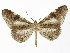  ( - INB0003536592)  @11 [ ] Copyright (2012) J. Montero Instituto Nacional de Biodiversidad