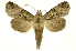  ( - INB0003544926)  @11 [ ] Copyright (2012) Juan Mata Lorenzen Unspecified