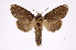  ( - INB0003544932)  @15 [ ] Copyright (2012) I. Chacon Instituto Nacional de Biodiversidad
