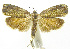  ( - INB0003545140)  @11 [ ] CreativeCommons - Attribution Non-Commercial Share-Alike (2012) National Biodiversity Institute of Costa Rica National Biodiversity Institute of Costa Rica