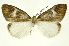  ( - INB0003545215)  @14 [ ] Copyright (2012) Juan Mata Lorenzen Unspecified