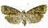  ( - INB0003545330)  @13 [ ] CreativeCommons - Attribution Non-Commercial Share-Alike (2012) National Biodiversity Institute of Costa Rica National Biodiversity Institute of Costa Rica