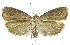  ( - INB0003545330)  @12 [ ] CreativeCommons - Attribution Non-Commercial Share-Alike (2012) National Biodiversity Institute of Costa Rica National Biodiversity Institute of Costa Rica