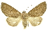  ( - INB0003554006)  @11 [ ] Copyright (2012) Juan Mata Lorenzen INBio