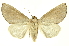  ( - INB0003554006)  @11 [ ] Copyright (2012) Juan Mata Lorenzen INBio