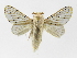  ( - INB0003554309)  @14 [ ] Copyright (2012) J. Montero Instituto Nacional de Biodiversidad