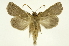  ( - INB0003554349)  @11 [ ] Copyright (2012) Juan Mata Lorenzen Unspecified