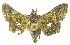  ( - INB0003554514)  @12 [ ] Copyright (2011) E. Phillips-Rodriguez INBio