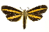  ( - INB0003554738)  @11 [ ] Copyright (2012) Juan Mata Lorenzen Unspecified
