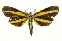  ( - INB0003554738)  @11 [ ] Copyright (2012) Juan Mata Lorenzen Unspecified