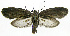  ( - INB0003554921)  @12 [ ] CreativeCommons - Attribution Non-Commercial Share-Alike (2012) National Biodiversity Institute of Costa Rica National Biodiversity Institute of Costa Rica