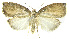  ( - INB0003554953)  @11 [ ] CreativeCommons - Attribution Non-Commercial Share-Alike (2012) National Biodiversity Institute of Costa Rica National Biodiversity Institute of Costa Rica