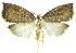  ( - INB0003554954)  @11 [ ] CreativeCommons - Attribution Non-Commercial Share-Alike (2012) National Biodiversity Institute of Costa Rica National Biodiversity Institute of Costa Rica