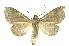  ( - INB0003558718)  @12 [ ] Copyright (2012) Juan Mata Lorenzen INBio