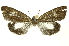  ( - INB0003561558)  @13 [ ] Copyright (2012) Juan Mata Lorenzen Unspecified