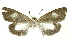  ( - INB0003561558)  @13 [ ] Copyright (2012) Juan Mata Lorenzen Unspecified