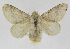  ( - INB0003562734)  @14 [ ] Copyright (2012) J. Montero Instituto Nacional de Biodiversidad