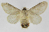  ( - INB0003562734)  @14 [ ] Copyright (2012) J. Montero Instituto Nacional de Biodiversidad