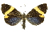  ( - INB0003569552)  @11 [ ] Copyright (2012) Juan Mata Lorenzen INBio