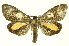  ( - INB0003571657)  @11 [ ] Copyright (2012) Juan Mata Lorenzen INBio