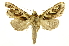 ( - INB0003620093)  @14 [ ] Copyright (2012) Juan Mata Lorenzen Unspecified