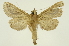  ( - INB0003620093)  @12 [ ] Copyright (2012) Juan Mata Lorenzen Unspecified