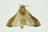 ( - INB0003620094)  @11 [ ] Copyright (2012) Juan Mata Lorenzen Unspecified