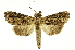  ( - INB0003620459)  @14 [ ] Copyright (2012) Juan Mata Lorenzen Unspecified