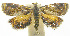  ( - INB0003620530)  @15 [ ] CreativeCommons - Attribution Non-Commercial Share-Alike (2012) National Biodiversity Institute of Costa Rica National Biodiversity Institute of Costa Rica