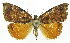  ( - INB0003620562)  @13 [ ] CreativeCommons - Attribution Non-Commercial Share-Alike (2012) National Biodiversity Institute of Costa Rica National Biodiversity Institute of Costa Rica