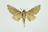  ( - INB0003701283)  @13 [ ] Copyright (2012) Juan Mata Lorenzen INBio