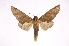  ( - INB0003701456)  @14 [ ] Copyright (2012) I. Chacon Instituto Nacional de Biodiversidad
