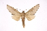  ( - INB0003701456)  @13 [ ] Copyright (2012) I. Chacon Instituto Nacional de Biodiversidad