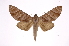  ( - INB0003706256)  @14 [ ] Copyright (2012) I. Chacon Instituto Nacional de Biodiversidad