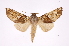  ( - INB0003706840)  @14 [ ] Copyright (2012) I. Chacon Instituto Nacional de Biodiversidad