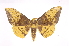  ( - INB0003706847)  @14 [ ] Copyright (2012) I. Chacon Instituto Nacional de Biodiversidad