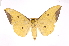  ( - INB0003706847)  @12 [ ] Copyright (2012) I. Chacon Instituto Nacional de Biodiversidad