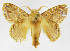  ( - INB0003707323)  @14 [ ] Copyright (2012) J. Montero Instituto Nacional de Biodiversidad