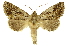  ( - INB0003707441)  @14 [ ] Copyright (2012) Juan Mata Lorenzen Unspecified