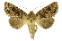 ( - INB0003707443)  @14 [ ] Copyright (2012) Juan Mata Lorenzen Unspecified