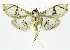  ( - INB0003707626)  @12 [ ] CreativeCommons - Attribution Non-Commercial Share-Alike  National Biodiversity Institute of Costa Rica National Biodiversity Institute of Costa Rica
