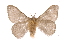  ( - INB0003708571)  @14 [ ] Copyright (2012) I. Chacon Instituto Nacional de Biodiversidad