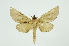  ( - INB0003708728)  @11 [ ] Copyright (2012) Juan Mata Lorenzen INBio